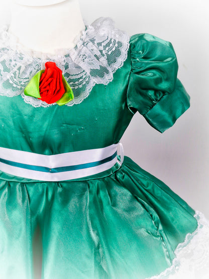 2 years. Green satin dress with white lace and ribbon and red rose. Small pinholes*
